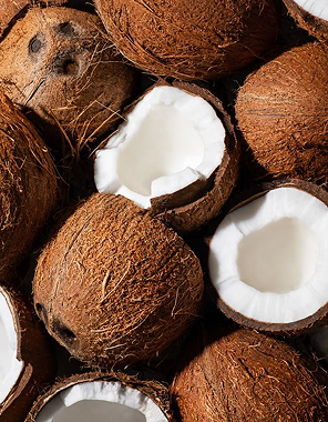  coconut